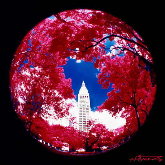 Charles Holm aka Homez : Cherry Infrared NYC