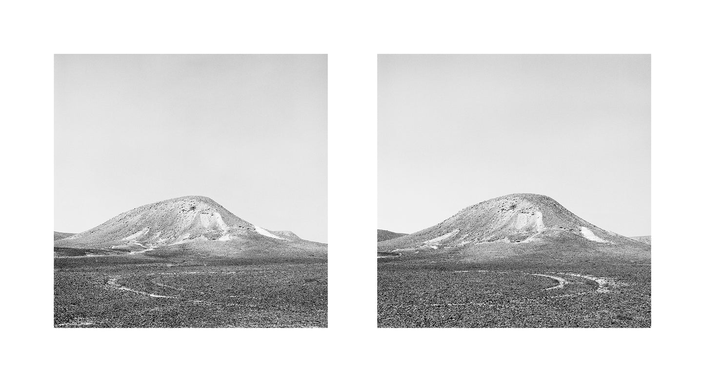 Dana Ariel: Manoeuvres