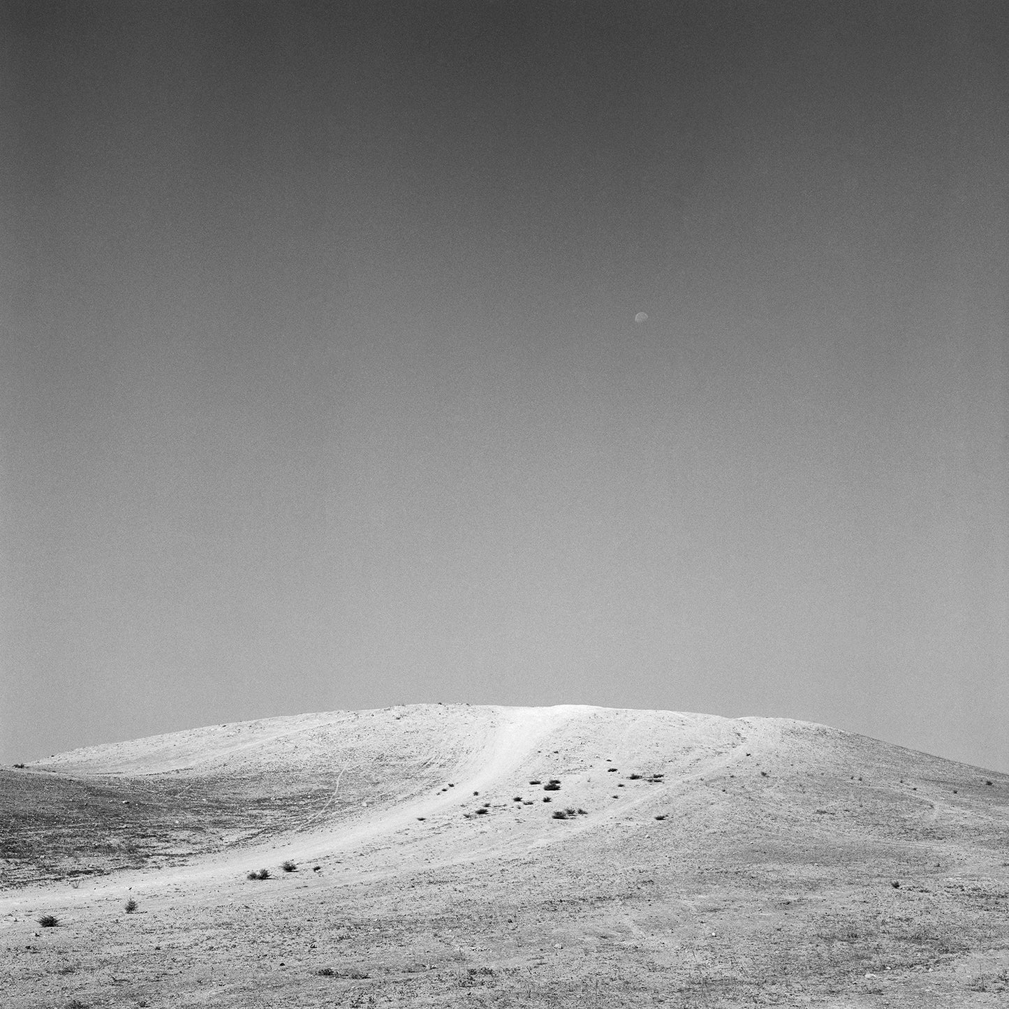 Dana Ariel: חרי) moon)