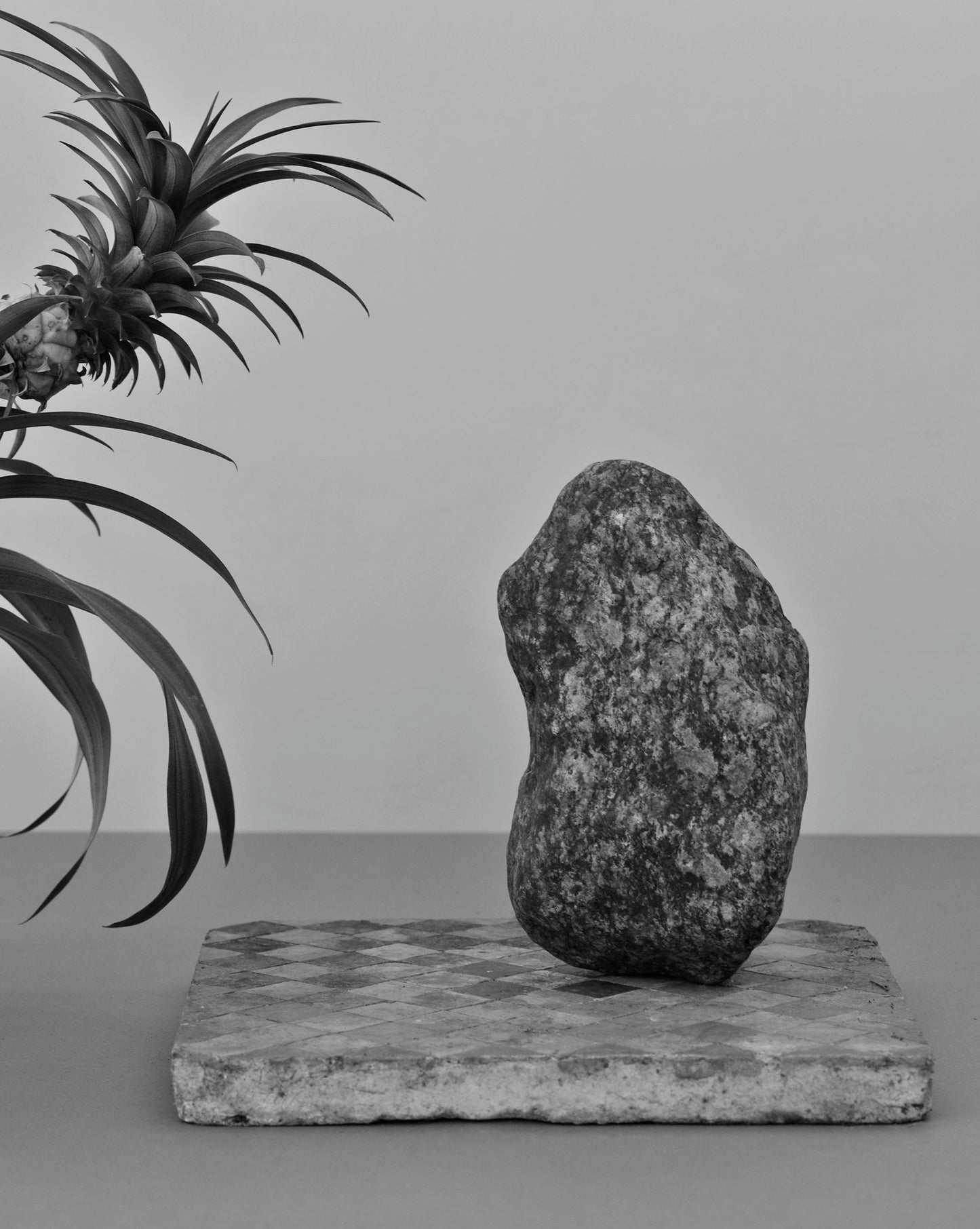 Alison Bettles: Of All Likenesses (print 2)