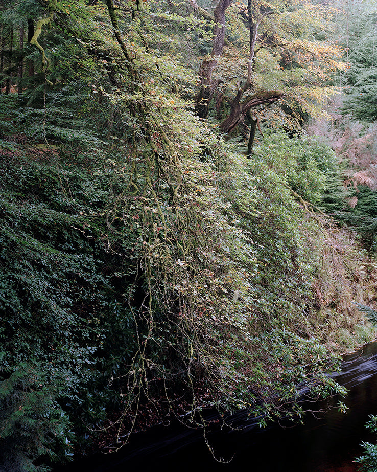 Fergus Heron: Allt Dearg, Highland, Scotland, October, 2021