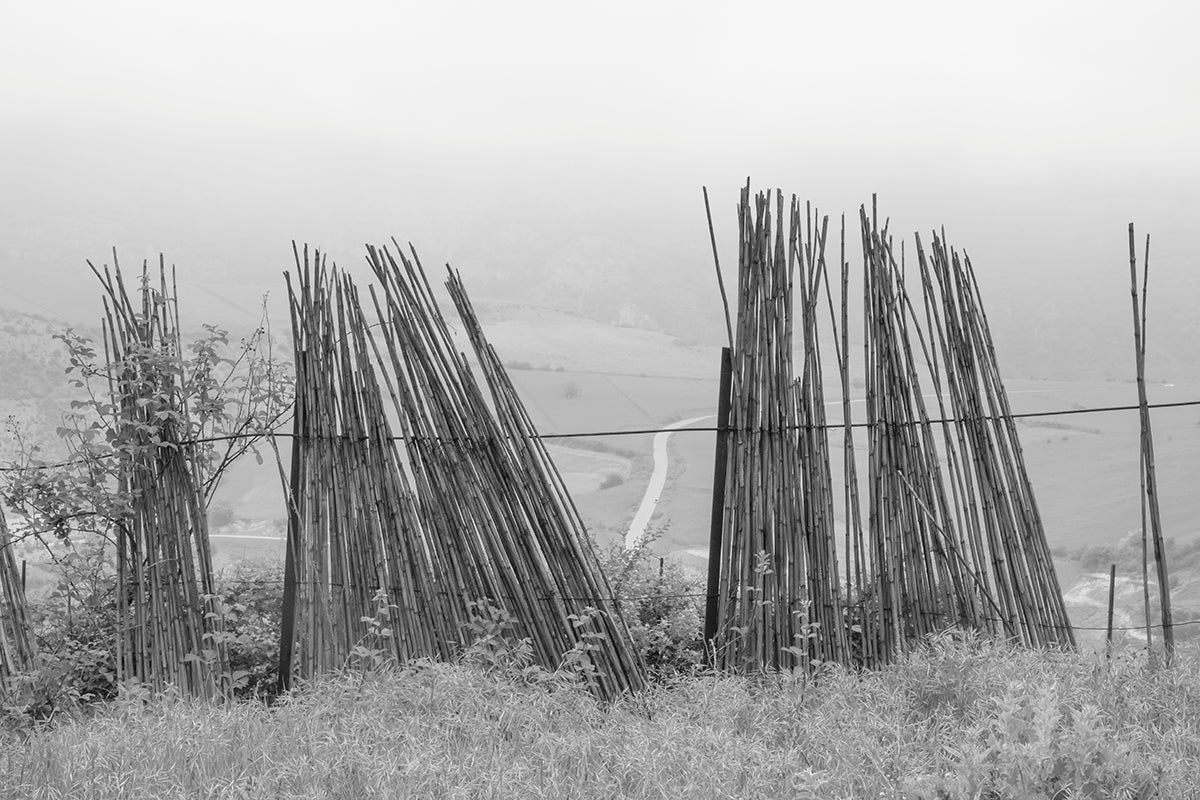 Reza Gazor: Among the Mountains
