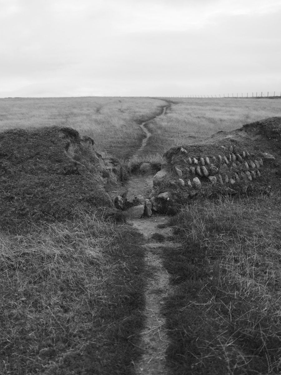 Paul Walsh: Coastal Trail Along the Llŷn Peninsula.