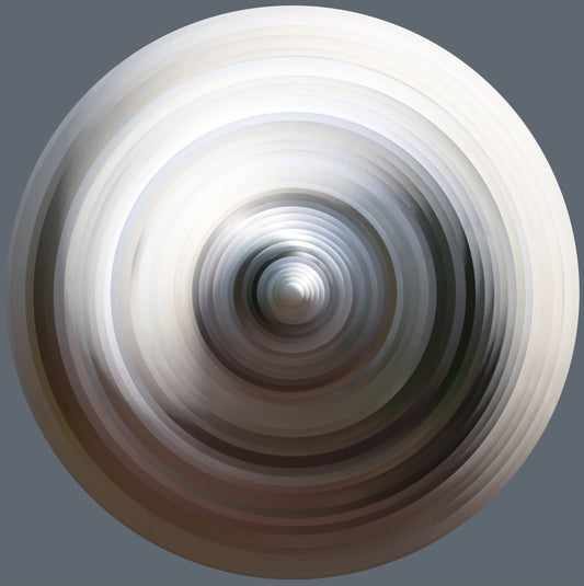 Adam Brown: Calibration – Inner Circle (Sequential Concentric version)